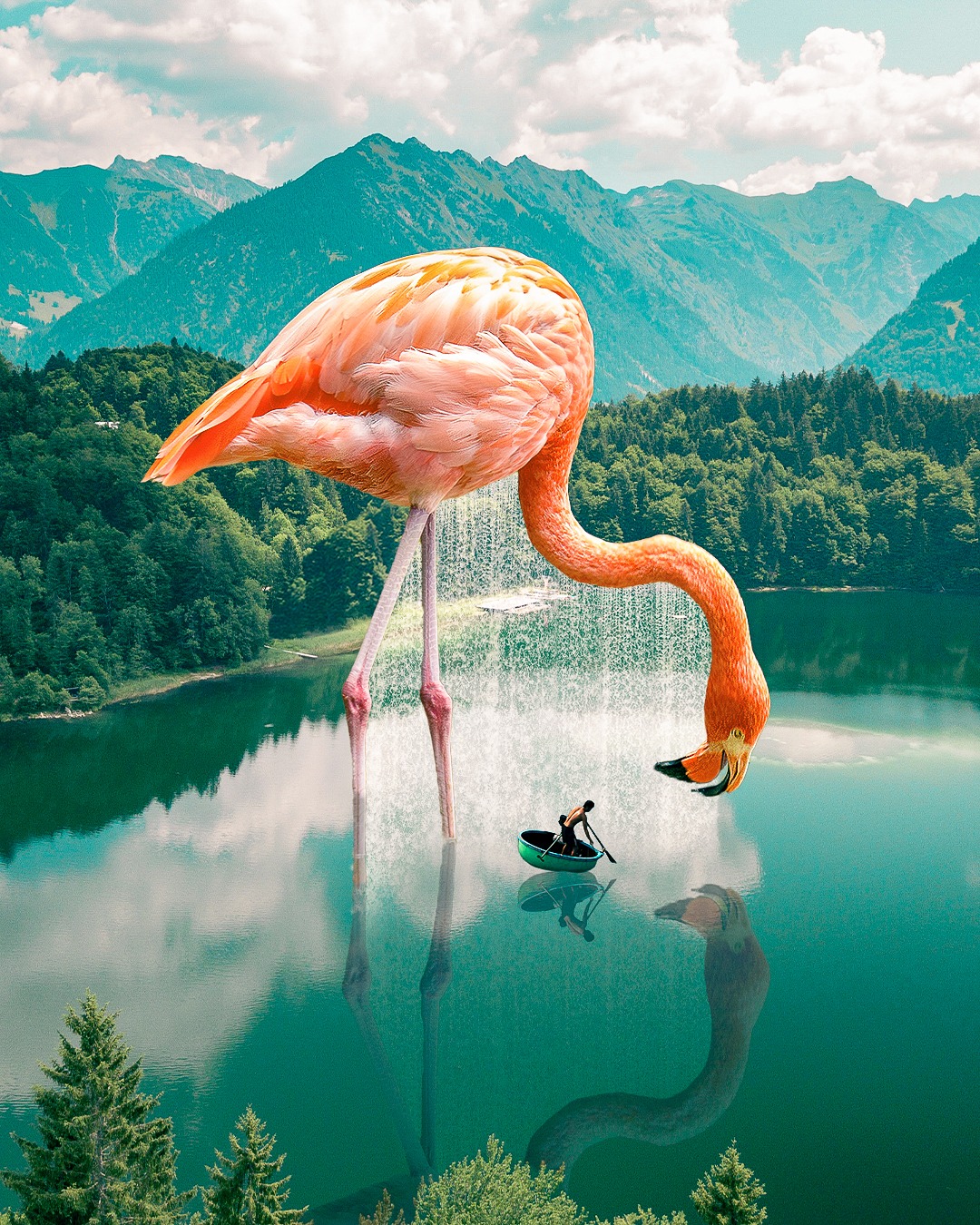 Julie Flamingo-2